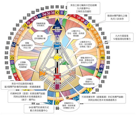 人類圖解說|人類圖是什麼？一文教你分析＋解讀4大類型及12種人。